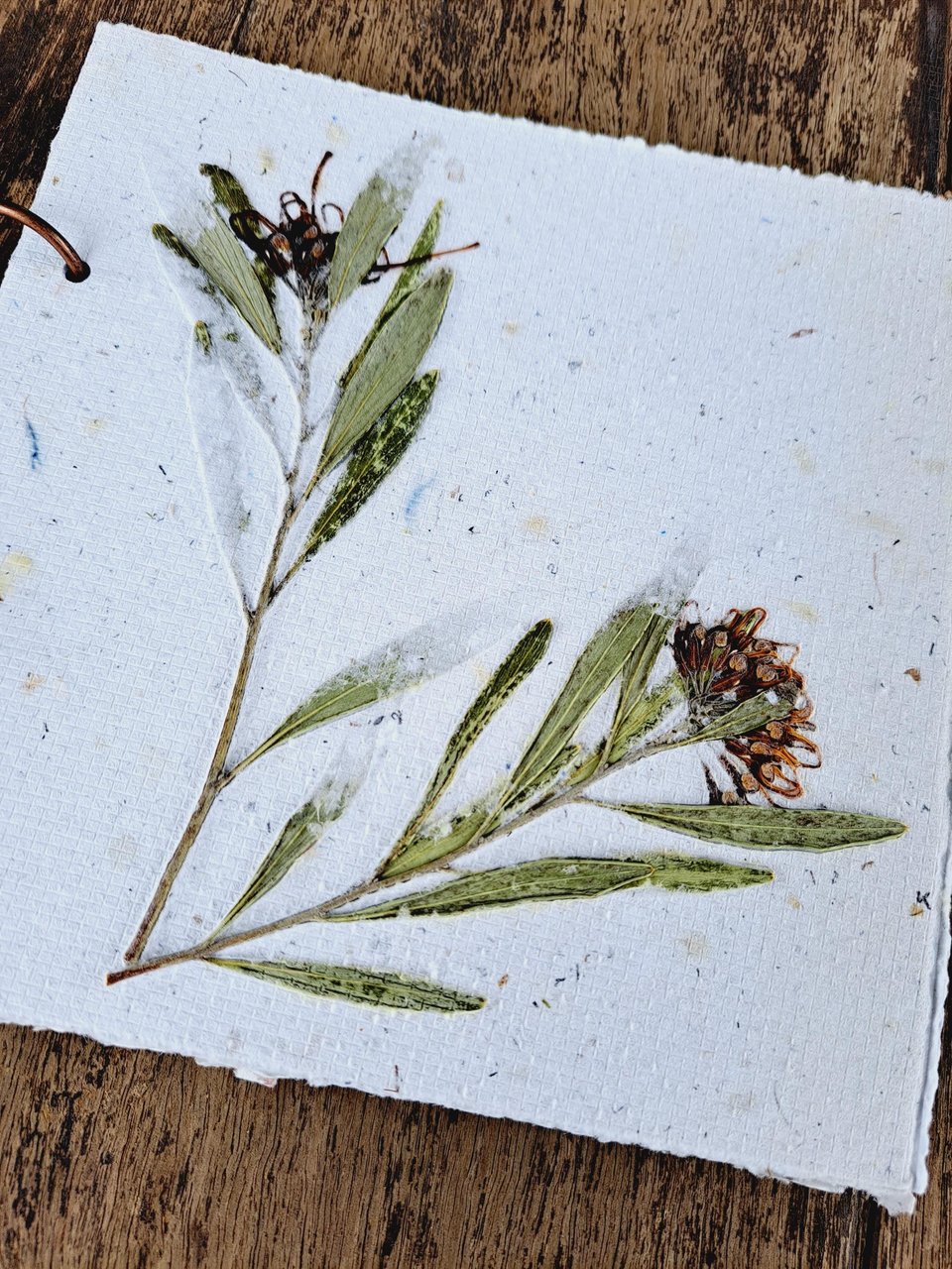Handmade recycled paper journal / notebook with wattle or grevillea cover, binder rings and pages with botanicals / petals. Add Extra pages