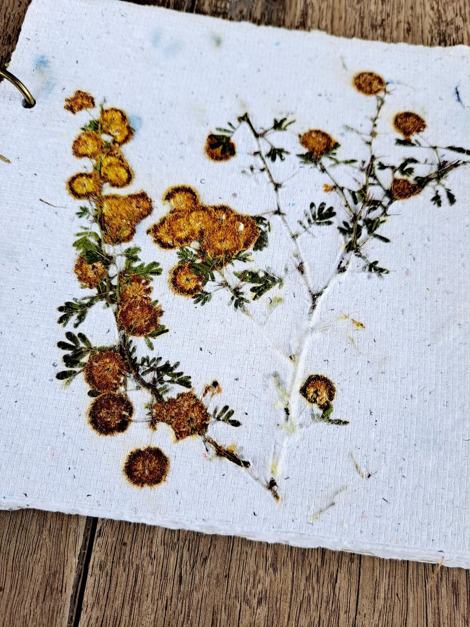 Handmade recycled paper journal / notebook with wattle or grevillea cover, binder rings and pages with botanicals / petals. Add Extra pages