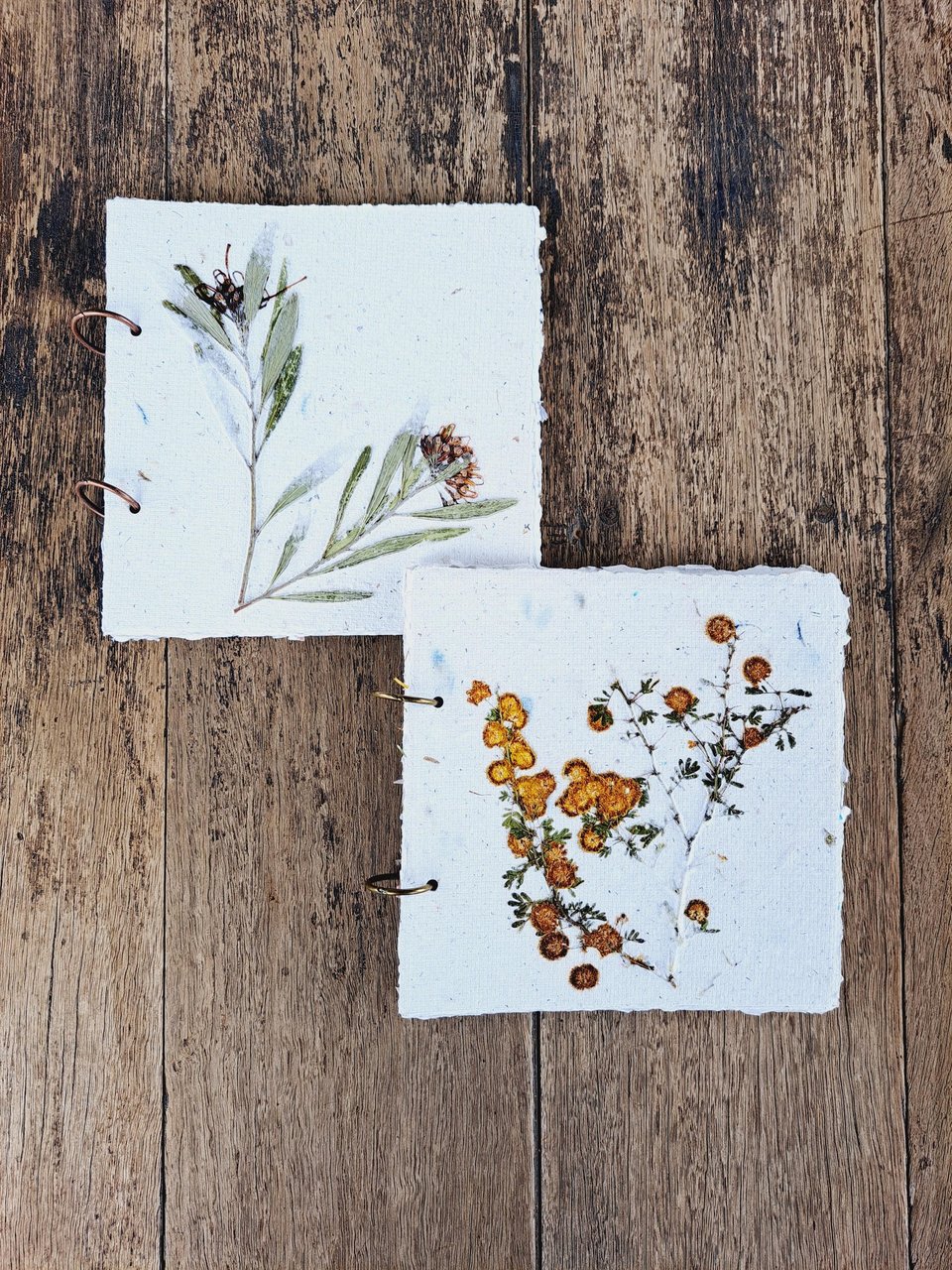 Handmade recycled paper journal / notebook with wattle or grevillea cover, binder rings and pages with botanicals / petals. Add Extra pages