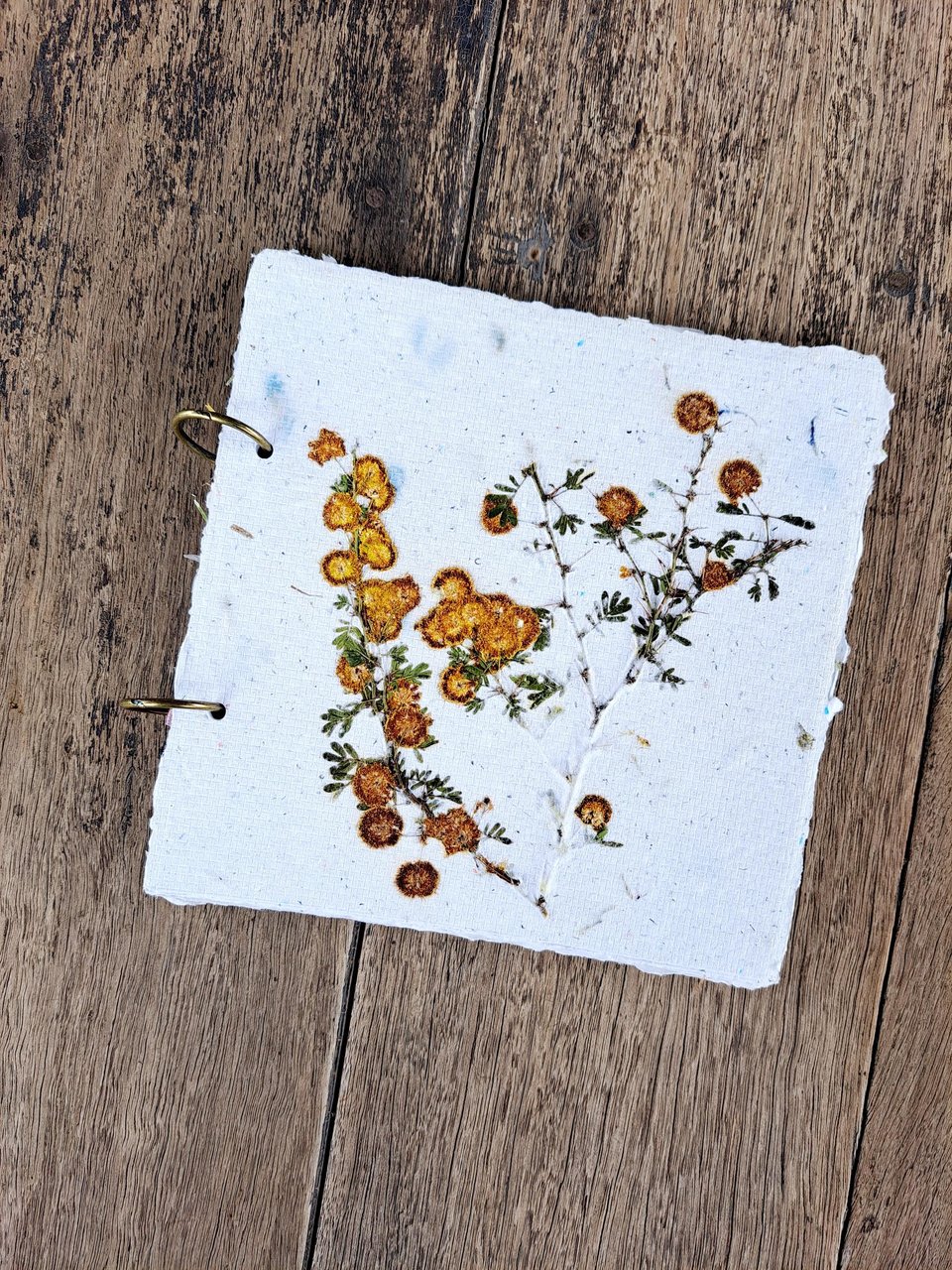 Handmade recycled paper journal / notebook with wattle or grevillea cover, binder rings and pages with botanicals / petals. Add Extra pages