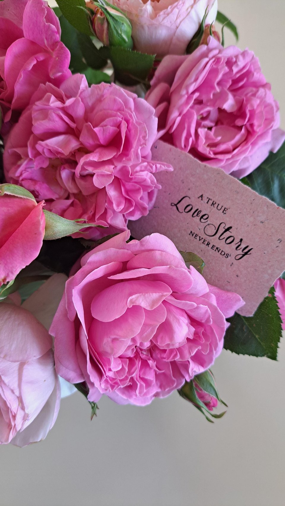 Sample for Australian florists.  Handmade recycled paper with messages - motivational and sentimental mini cards.