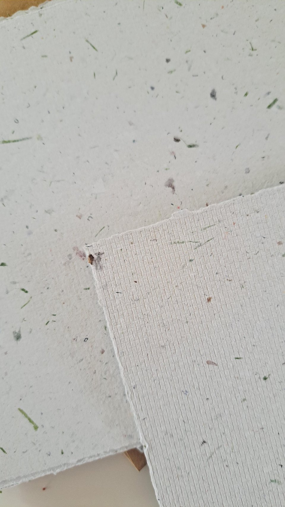 5 Sheets of 6x6 inch Handmade Recycled Paper with grass / lawn with square brown envelopes