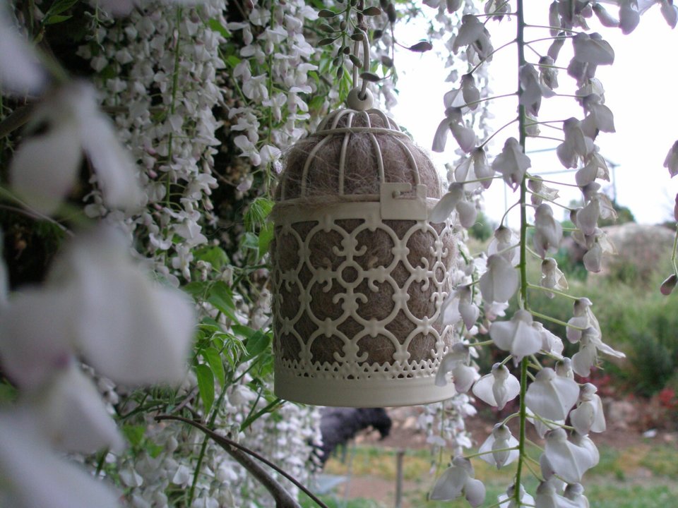 Bird Nester with Llama Fibre Nesting Material to Attract Native Birds to your Garden. Outdoor lantern. Birthday Gift Idea