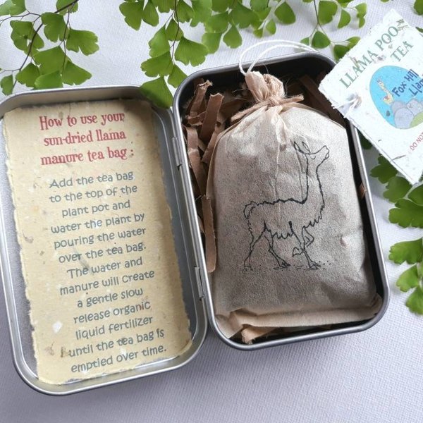 6 x House Plant Pamper Gift Pack, Indoor Plants, Organic Fertilizer, Manure Tea bag, Indoor plant lover, Planter, Florist Supplies, Bulk lot