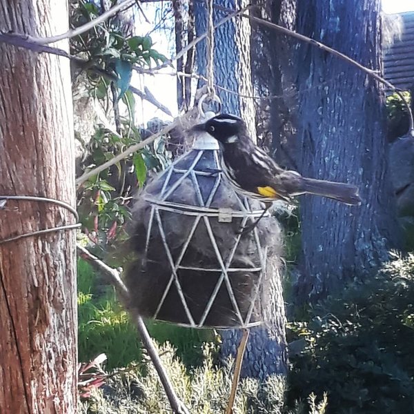 Geometric Bird Nester with Llama Fibre. Nesting Material to Attract Native Birds to your Garden. Eco Friendly Gift for nature lover