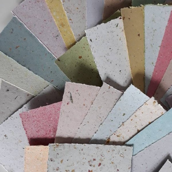 5x7" - 50 Sheets, Mixed Recycled Paper, Handmade Paper, Botanicals, DIY Wedding Invites, Calligraphy Paper, Letter Paper, Letterpress Stock