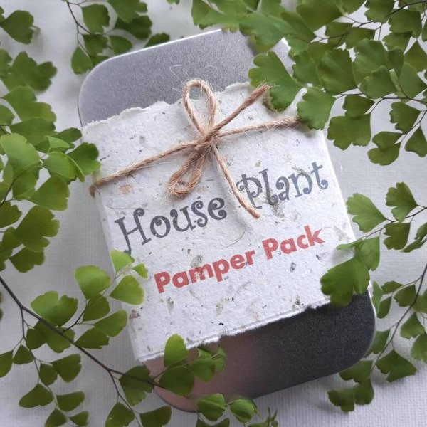 Indoor Plant Gift, Llama POO House Plant Pamper Pack, Indoor Plants, Fertilizer, Organic Care Garden Tea bag, plant lover, Planter, Eco Kit