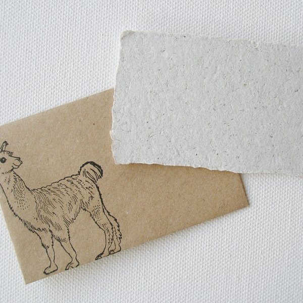 Card and envelope, Llama Poo Paper card, Handmade card, Recycled card, Gift Card, mini card, florist card, card with envelope, small card