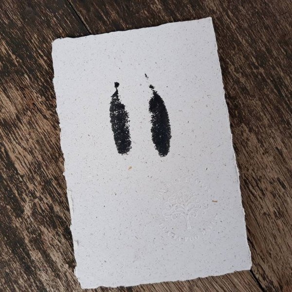 Baby Llama Footprint on Poo Paper