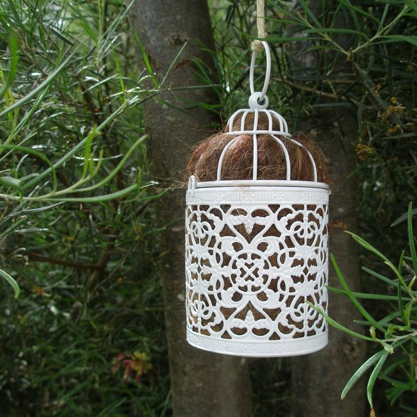 Bird Nester for home backyard or baclony gift, Llama Fibre Nest Building Material