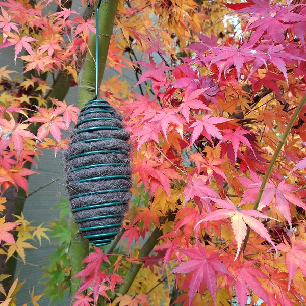 Hanging Bird Nester with Llama Fibre Nesting Material for Birds. Ideal for Eco Friendly Gardens. Gardener gifts and nature playgrounds