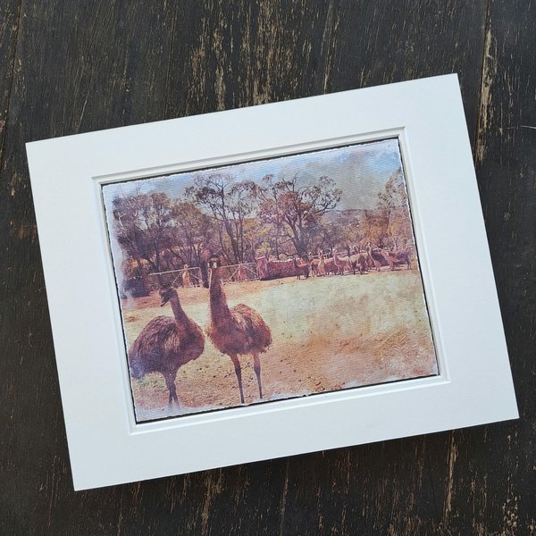Llama artwork "Emus out Front"