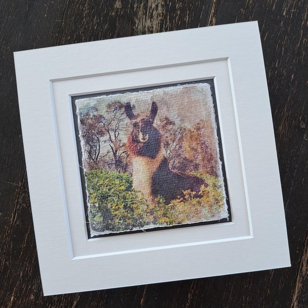 Miniature llama artwork "Sitting Pretty"