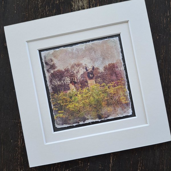 Miniature llama artwork "Amongst the Capeweed"