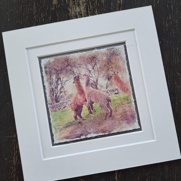 llama artwork "Playtime"