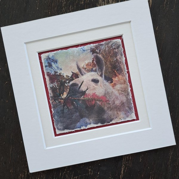 Mini llama artwork "Callistemon Treat"