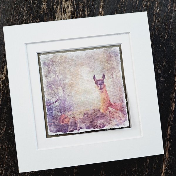 Llama Art  "Smile in the Mist"