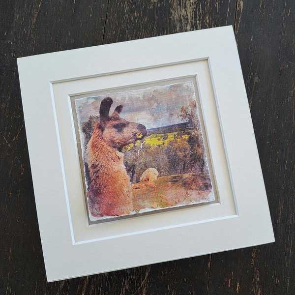Mini Llama Print. "Flower Girl"