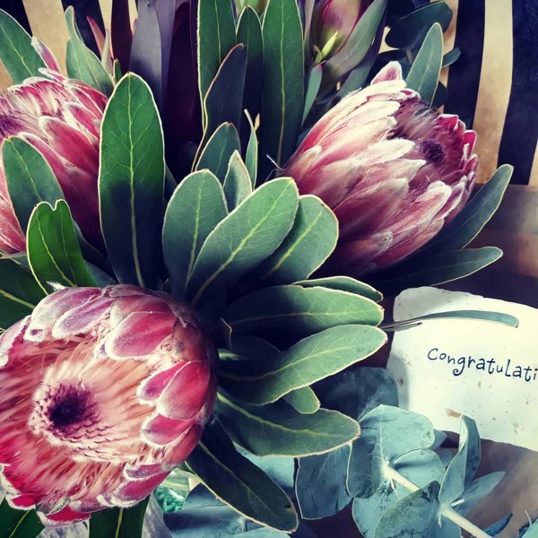 Sample for Australian florists.  Handmade recycled paper with messages - motivational and sentimental mini cards.
